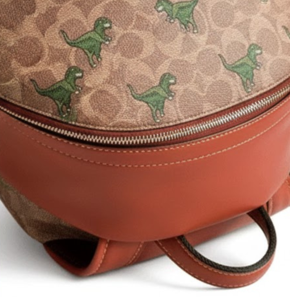 Coach Backpack 24 In Signature Canvas with Rexy Print
