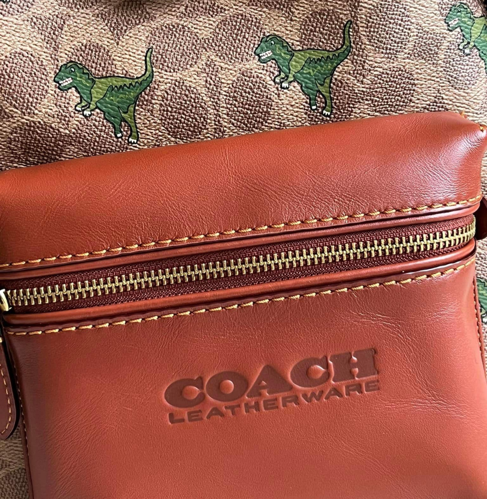 Coach Backpack 24 In Signature Canvas with Rexy Print
