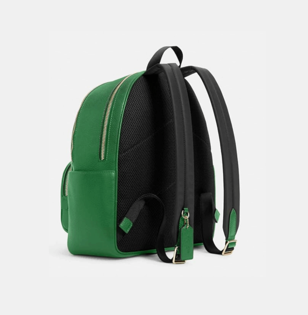Coach Charter Backpack 24 In Signature Leather Green