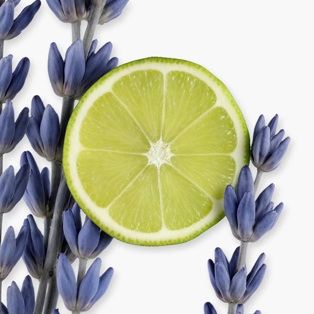 Parfums de Marly Percival