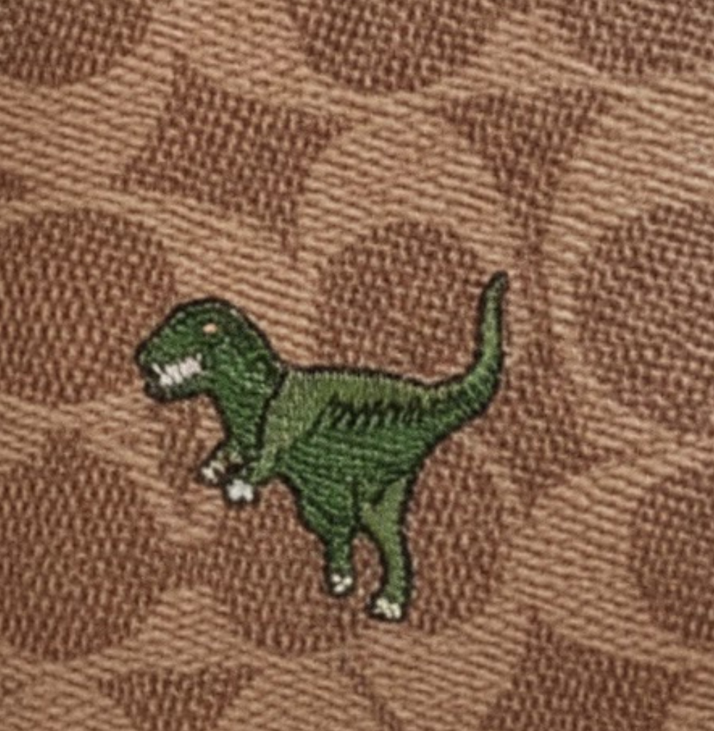 Coach Backpack 24 In Signature Canvas with Rexy Print